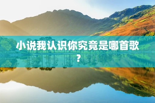 小说我认识你究竟是哪首歌？