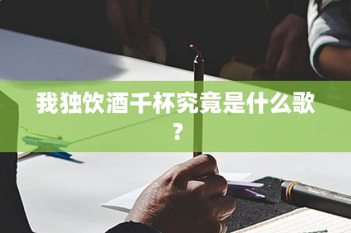 我独饮酒千杯究竟是什么歌？