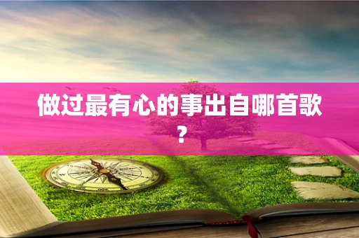 做过最有心的事出自哪首歌？