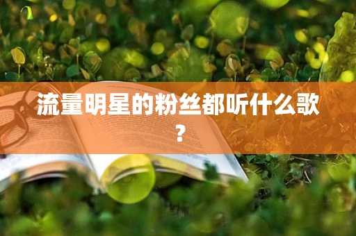 流量明星的粉丝都听什么歌？