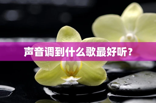 声音调到什么歌最好听？