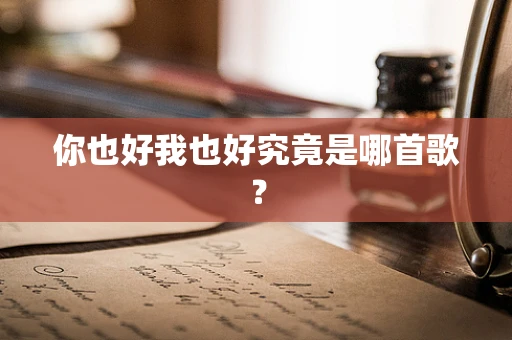 你也好我也好究竟是哪首歌？