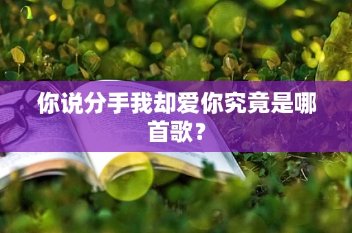 你说分手我却爱你究竟是哪首歌？