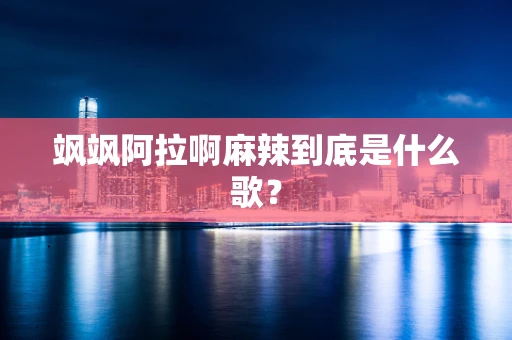 飒飒阿拉啊麻辣到底是什么歌？