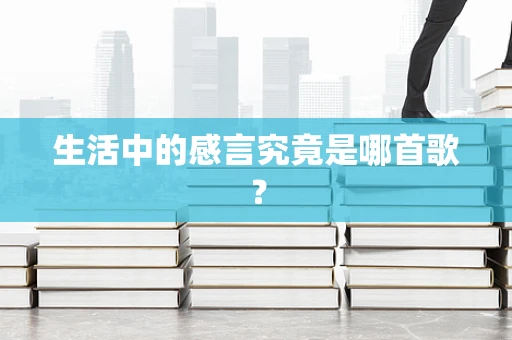 生活中的感言究竟是哪首歌？