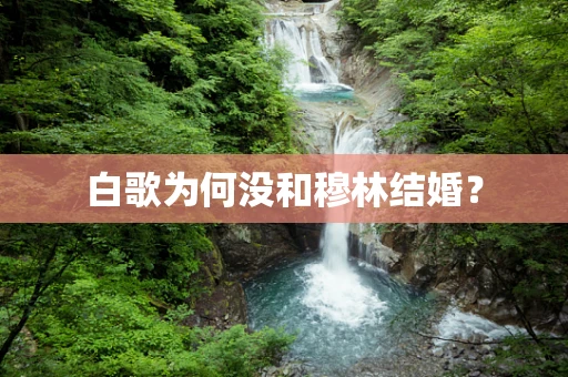 白歌为何没和穆林结婚？