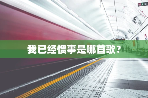 我已经惯事是哪首歌？