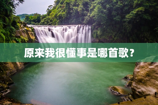 原来我很懂事是哪首歌？