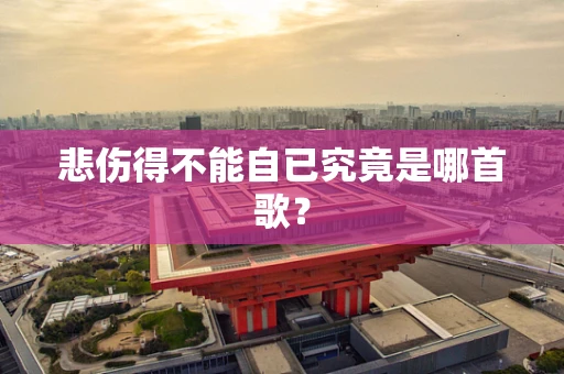 悲伤得不能自已究竟是哪首歌？