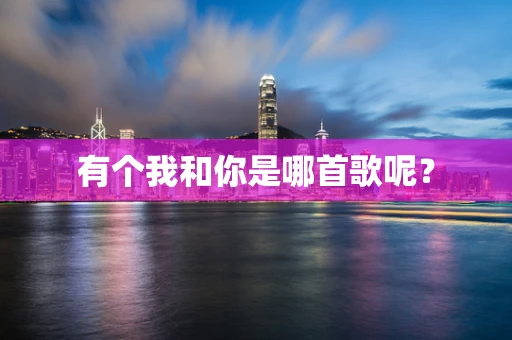 有个我和你是哪首歌呢？