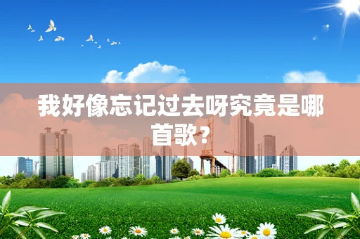 我好像忘记过去呀究竟是哪首歌？