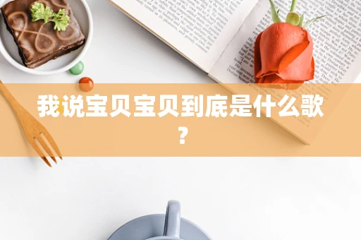 我说宝贝宝贝到底是什么歌？
