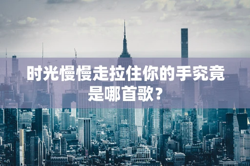 时光慢慢走拉住你的手究竟是哪首歌？