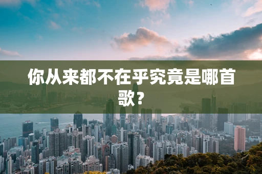 你从来都不在乎究竟是哪首歌？