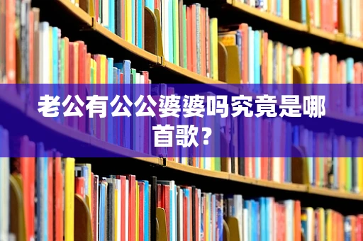 老公有公公婆婆吗究竟是哪首歌？