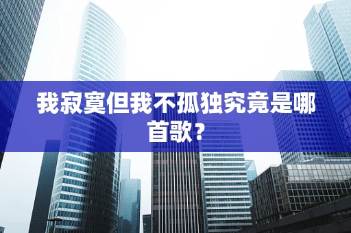 我寂寞但我不孤独究竟是哪首歌？