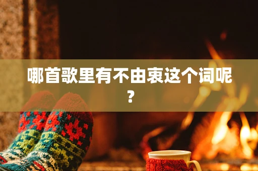 哪首歌里有不由衷这个词呢？