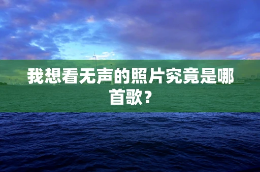 我想看无声的照片究竟是哪首歌？