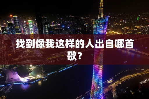 找到像我这样的人出自哪首歌？