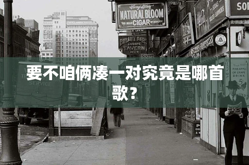 要不咱俩凑一对究竟是哪首歌？