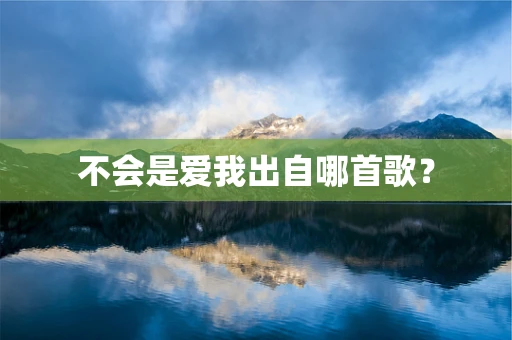 不会是爱我出自哪首歌？