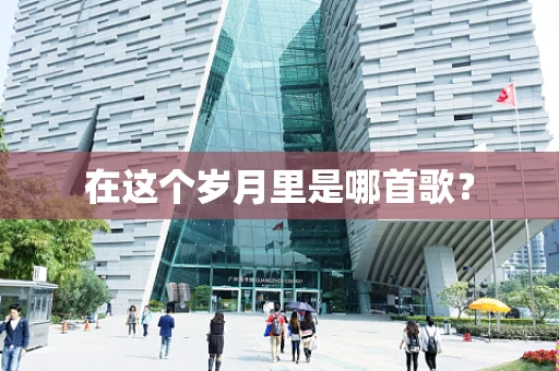 在这个岁月里是哪首歌？