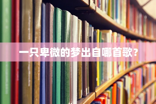 一只卑微的梦出自哪首歌？