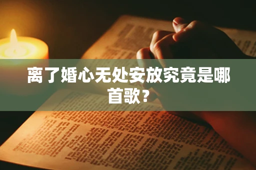 离了婚心无处安放究竟是哪首歌？