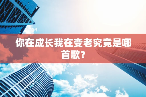 你在成长我在变老究竟是哪首歌？