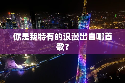 你是我特有的浪漫出自哪首歌？
