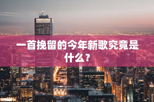 一首挽留的今年新歌究竟是什么？