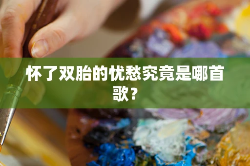 怀了双胎的忧愁究竟是哪首歌？