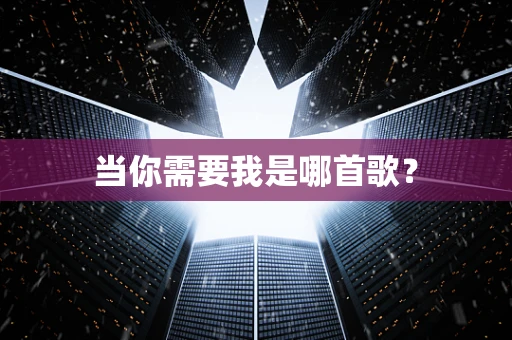 当你需要我是哪首歌？