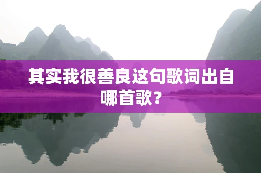 其实我很善良这句歌词出自哪首歌？