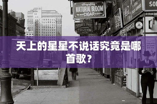 天上的星星不说话究竟是哪首歌？