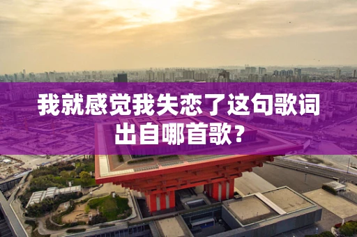 我就感觉我失恋了这句歌词出自哪首歌？