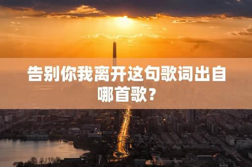 告别你我离开这句歌词出自哪首歌？