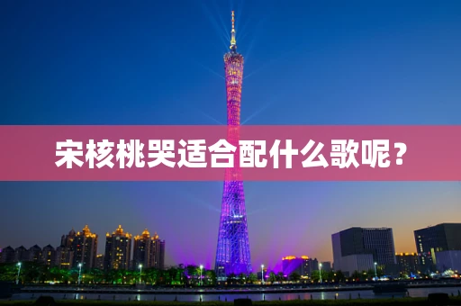 宋核桃哭适合配什么歌呢？