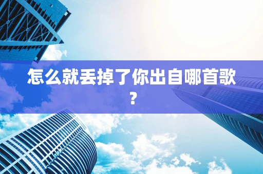 怎么就丢掉了你出自哪首歌？