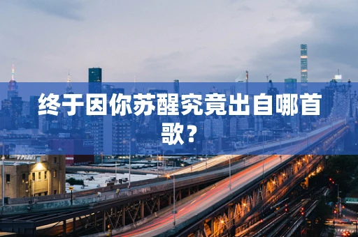 终于因你苏醒究竟出自哪首歌？