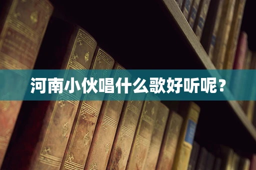 河南小伙唱什么歌好听呢？