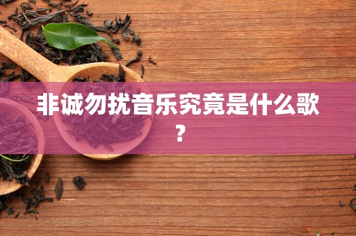 非诚勿扰音乐究竟是什么歌？