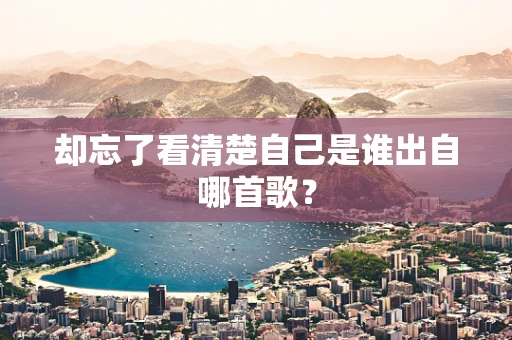 却忘了看清楚自己是谁出自哪首歌？