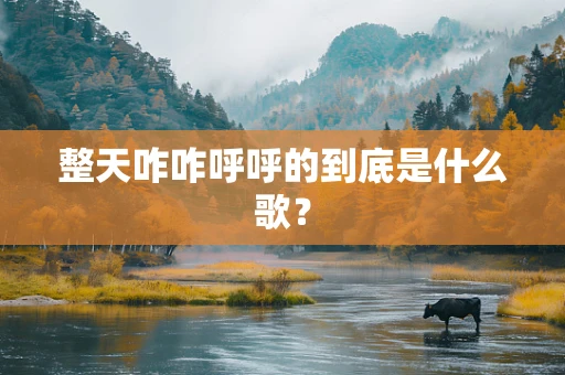 整天咋咋呼呼的到底是什么歌？