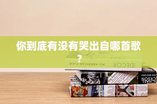 你到底有没有哭出自哪首歌？