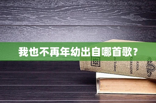 我也不再年幼出自哪首歌？