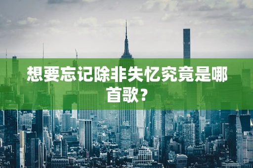 想要忘记除非失忆究竟是哪首歌？