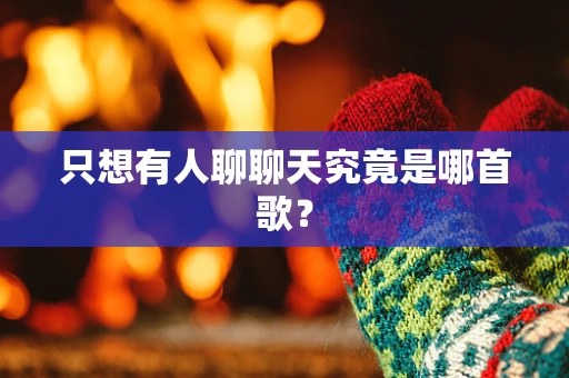 只想有人聊聊天究竟是哪首歌？