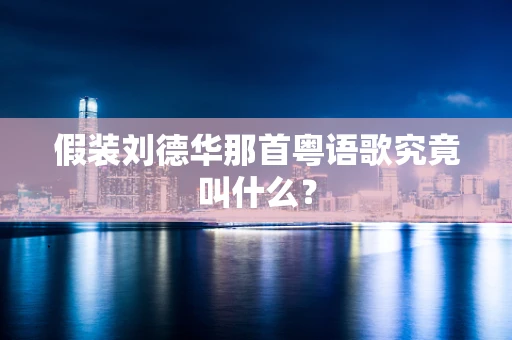 假装刘德华那首粤语歌究竟叫什么？