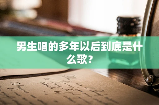 男生唱的多年以后到底是什么歌？